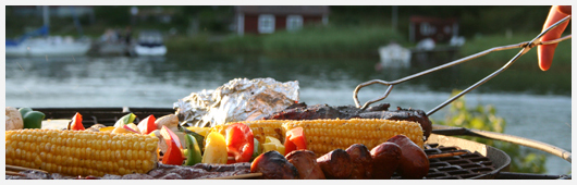 Grill Robust