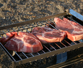 Grundl&auml;ggande om grillning